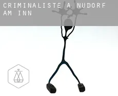 Criminaliste à  Nußdorf am Inn