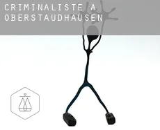 Criminaliste à  Oberstaudhausen