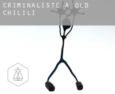 Criminaliste à  Old Chilili