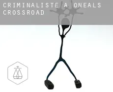 Criminaliste à O'Neals Crossroad