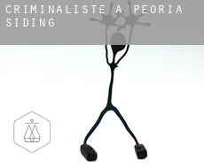 Criminaliste à  Peoria Siding