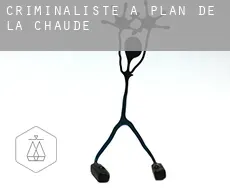 Criminaliste à  Plan de la Chaude