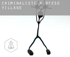 Criminaliste à Reese Village
