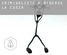 Criminaliste à  Riberos de la Cueza