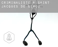 Criminaliste à  Saint-Jacques-de-Néhou