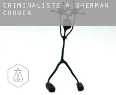 Criminaliste à  Sherman Corner