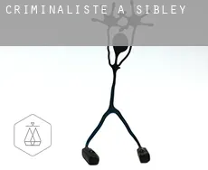 Criminaliste à Sibley