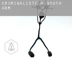 Criminaliste à  South Arm