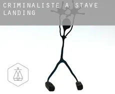 Criminaliste à  Stave Landing
