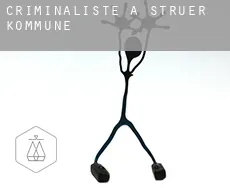 Criminaliste à Struer Kommune
