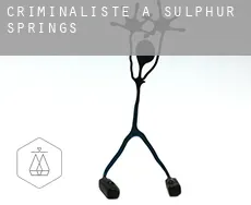 Criminaliste à  Sulphur Springs