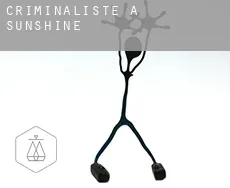 Criminaliste à Sunshine