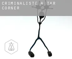 Criminaliste à  Tar Corner
