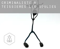 Criminaliste à  Teissières-lès-Bouliès