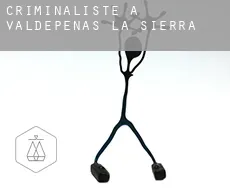 Criminaliste à  Valdepeñas de la Sierra
