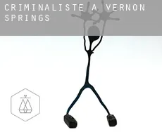 Criminaliste à  Vernon Springs