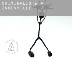 Criminaliste à Zanesville