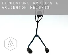 Expulsions avocats à  Arlington Heights