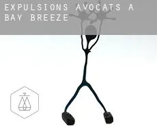 Expulsions avocats à  Bay Breeze