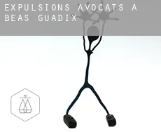 Expulsions avocats à  Beas de Guadix