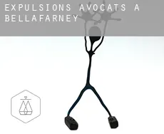 Expulsions avocats à Bellafarney
