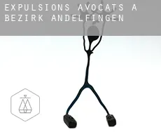 Expulsions avocats à  Bezirk Andelfingen