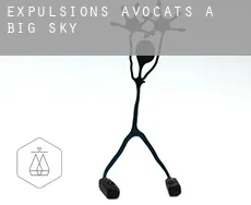 Expulsions avocats à  Big Sky