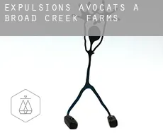Expulsions avocats à  Broad Creek Farms