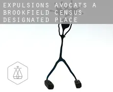 Expulsions avocats à Brookfield