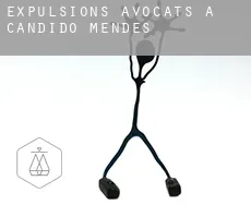 Expulsions avocats à Cândido Mendes