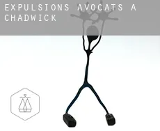 Expulsions avocats à Chadwick