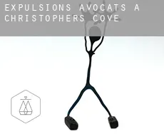 Expulsions avocats à  Christophers Cove