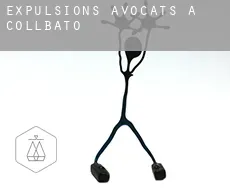 Expulsions avocats à  Collbató