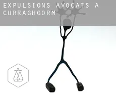 Expulsions avocats à  Curraghgorm