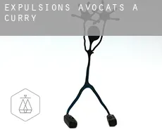 Expulsions avocats à  Curry