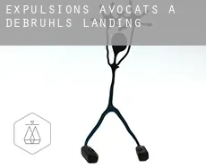 Expulsions avocats à Debruhls Landing