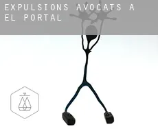 Expulsions avocats à  El Portal