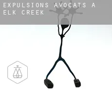 Expulsions avocats à Elk Creek