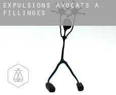 Expulsions avocats à  Fillinges