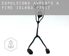 Expulsions avocats à  Fire Island Pines