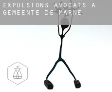 Expulsions avocats à  Gemeente De Marne
