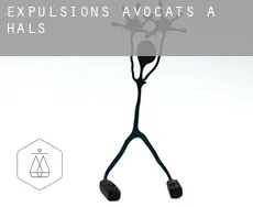 Expulsions avocats à  Hals
