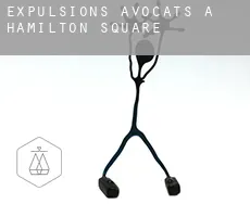 Expulsions avocats à  Hamilton Square