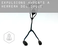 Expulsions avocats à  Herrera del Duque