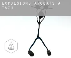 Expulsions avocats à  Iaçu