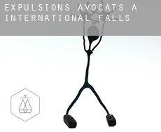 Expulsions avocats à  International Falls