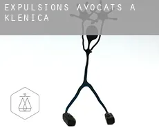 Expulsions avocats à Klenica