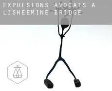 Expulsions avocats à  Lisheemine Bridge