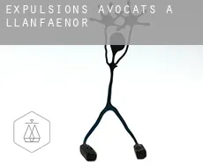 Expulsions avocats à  Llanfaenor