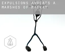 Expulsions avocats à  Marshes-of-Mackay
